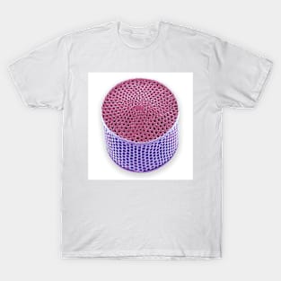 Diatom, SEM, (C055/8956) T-Shirt